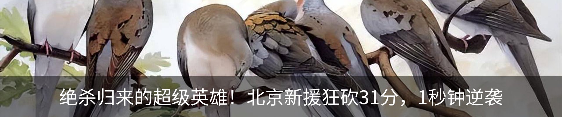 新闻中心